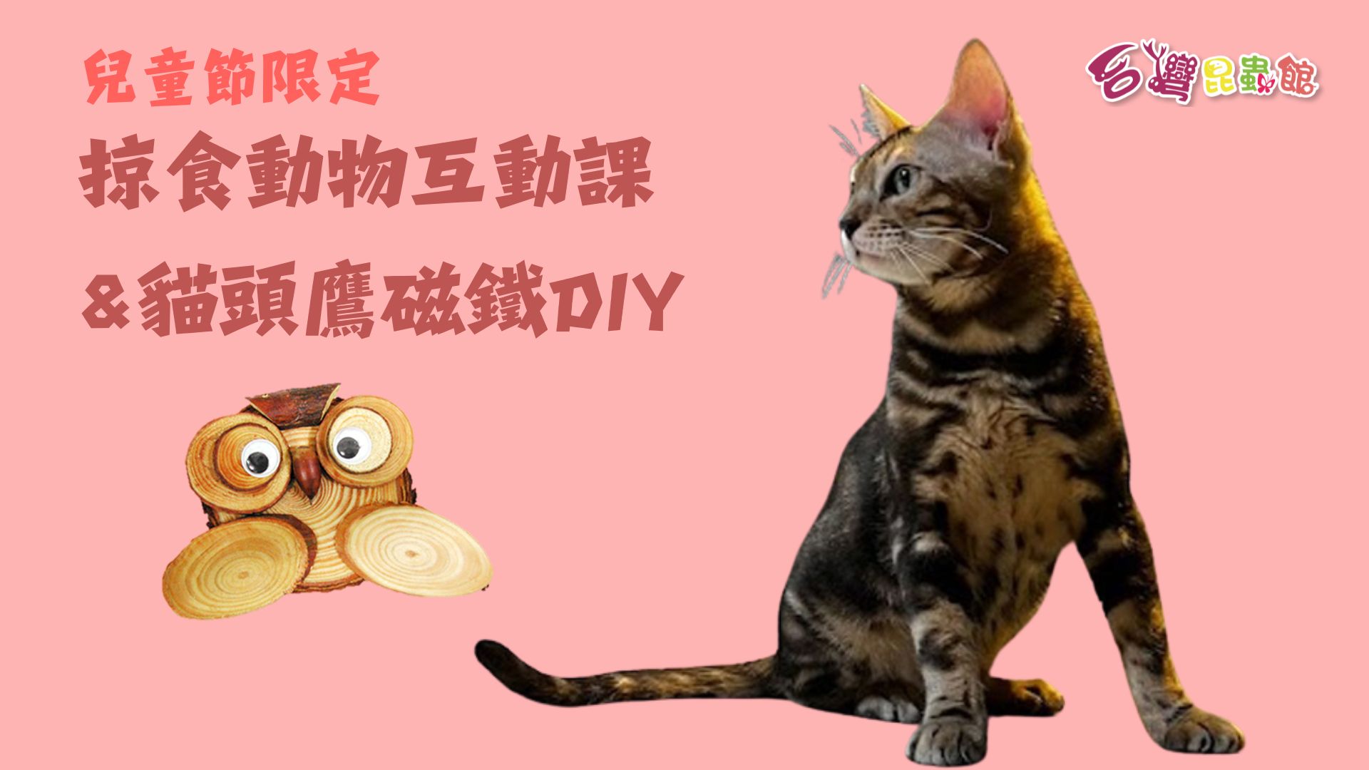 4/4(六)16:30-17:30『掠食動物』近距離互動課&貓頭鷹磁鐵DIY